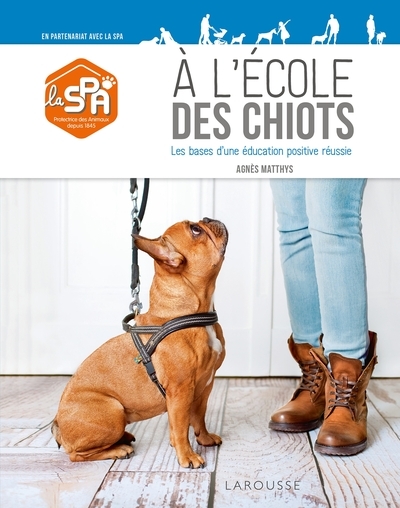 À l'école des chiots - Image principale