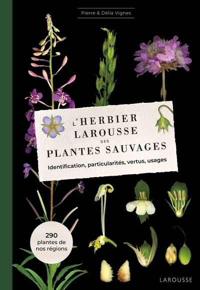 L'herbier des plantes sauvages - Image principale
