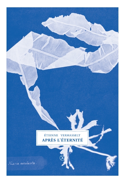Après l'éternité - Image principale
