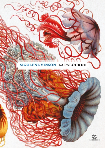 La palourde - Image principale