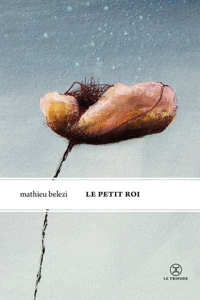 Le petit roi - Image principale