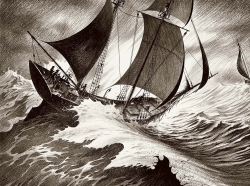 Marines - Image principale