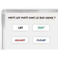 14 Étiquettes magnétiques blanches effaçables à sec - Image principale