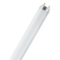 Tube fluorescent Lumilux - T8 - 58 W - Image principale