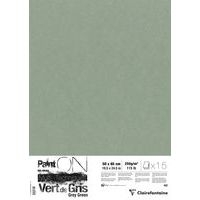 Paint'On Vert de Gris pqt 15 feuilles 50x65 250g - Image principale