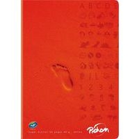 Cahier piqûre 96 pages seyes super 90g - Pichon - Image principale