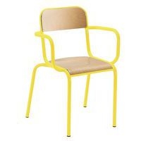 Fauteuil de maitre avec accoudoirs tube - Manutan Expert - Image principale