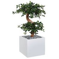 Bac bas métal O'CARRE Blanc sur roulettes Bonzaî - Image principale