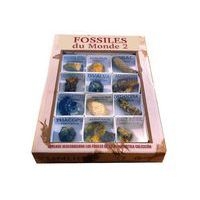 Les fossiles du monde - Image principale