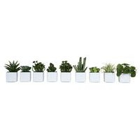 Lot de 9 pots carrés 7x7 blanc 9 plantes - Image principale