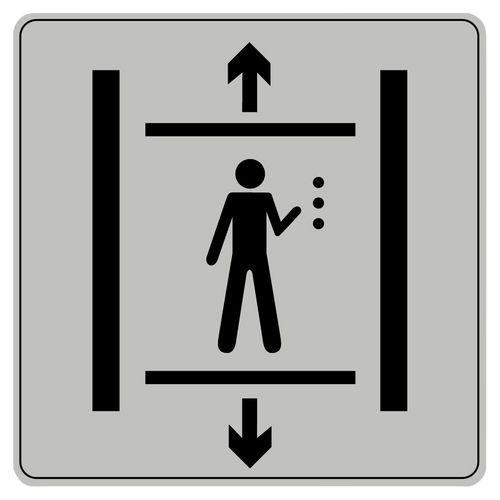 Illustration de : Pictogramme en polystyrène ISO 7001 - Ascenseur handicapé