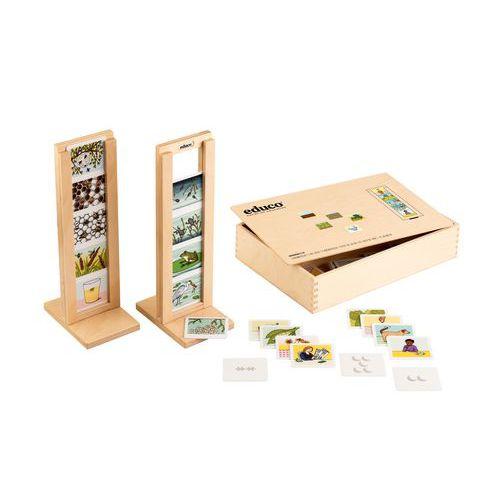 Illustration de : Cycle de vie - Educo