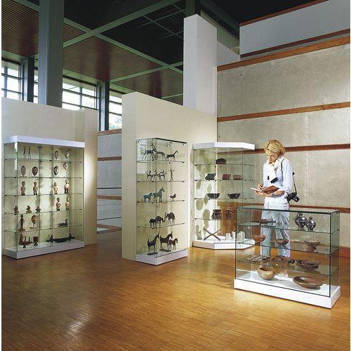 Illustration de : Vitrine d'exposition double électrifiée Planorga