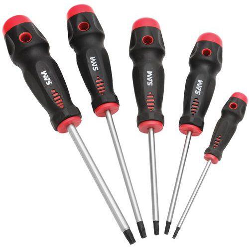 Illustration de : Tournevis TA empreinte Torx