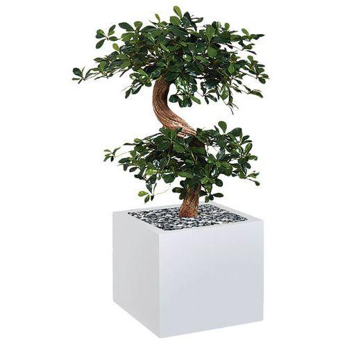 Illustration de : Bac haut métal O'CARRE sur roulettes Bonzaî