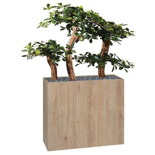 Illustration de : Jardinière bois BOSCO mobile Bonzaî