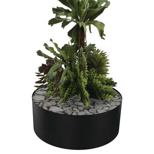 Illustration de : Composition SUCCULENTE 2