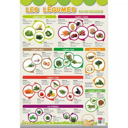 Illustration de : Poster les légumes et aromates 52 x 76 cm