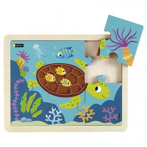 Illustration de : La tortue - Nathan