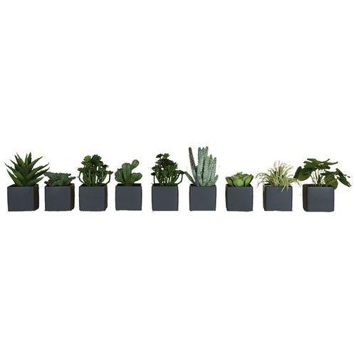 Illustration de : Lot de 9 pots carrés 7x7 9 plantes Tanaman
